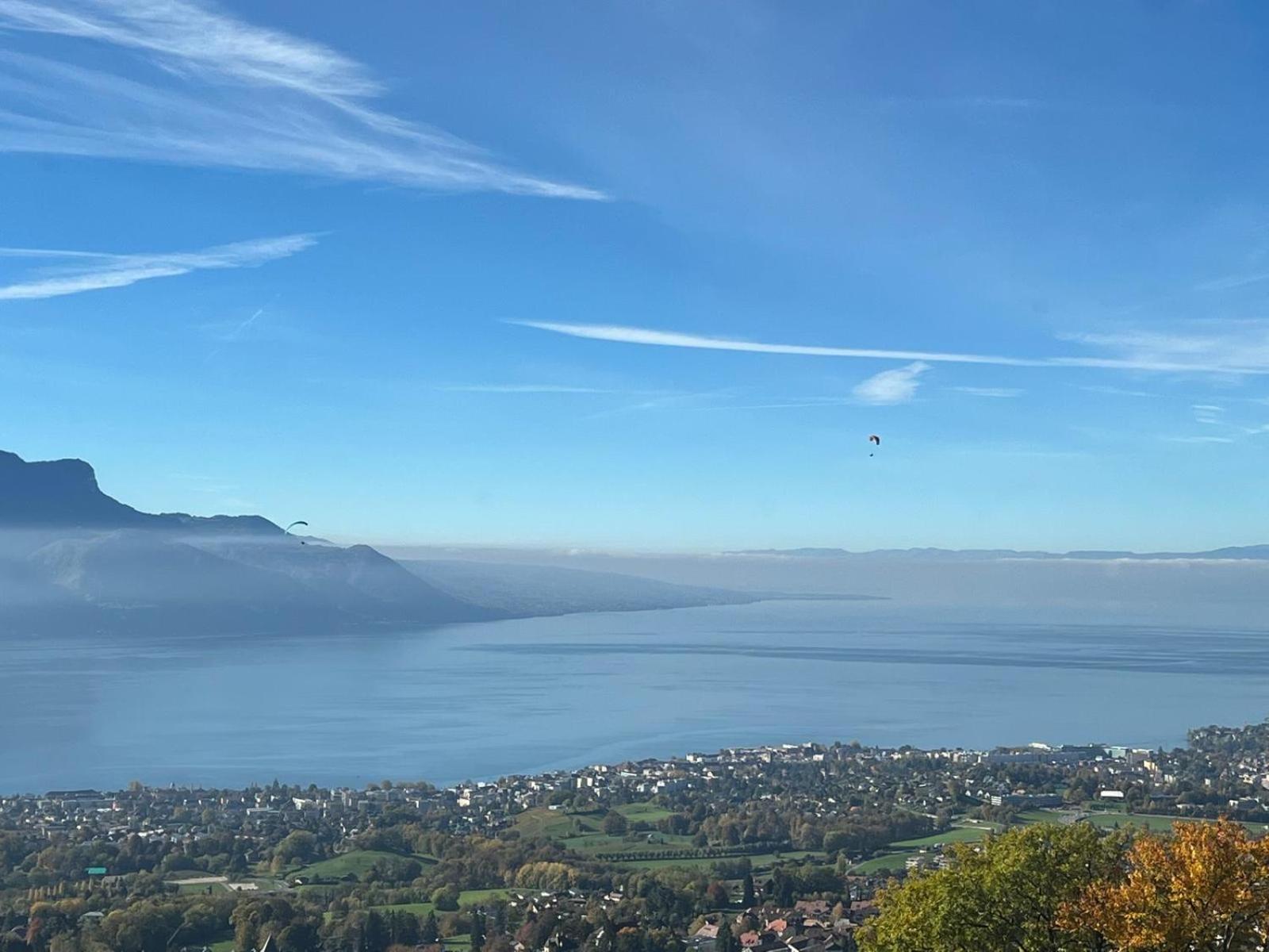 Swiss Chalet - Mountain And Lake View Blonay Εξωτερικό φωτογραφία