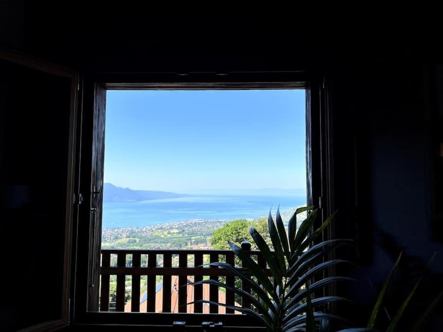 Swiss Chalet - Mountain And Lake View Blonay Εξωτερικό φωτογραφία