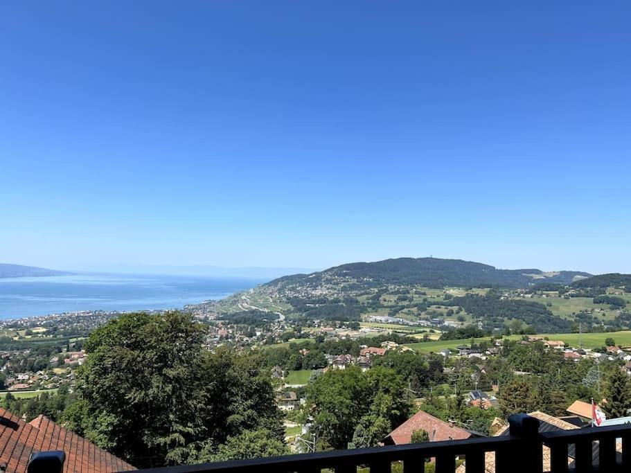 Swiss Chalet - Mountain And Lake View Blonay Εξωτερικό φωτογραφία